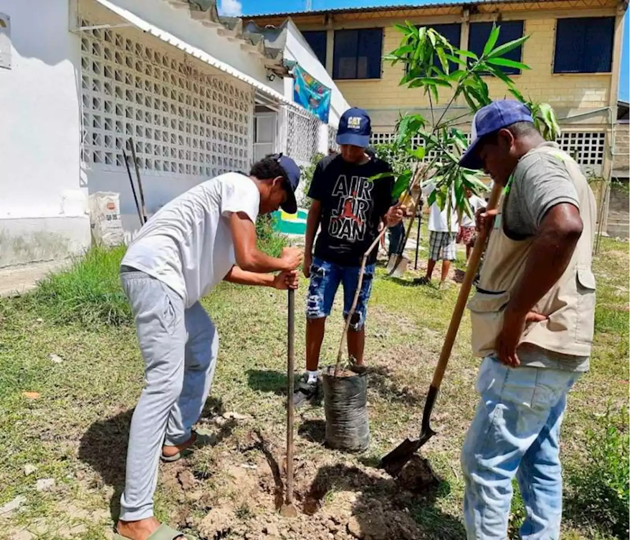 Jornada de arborización promueve la conciencia ambiental en Cartagena