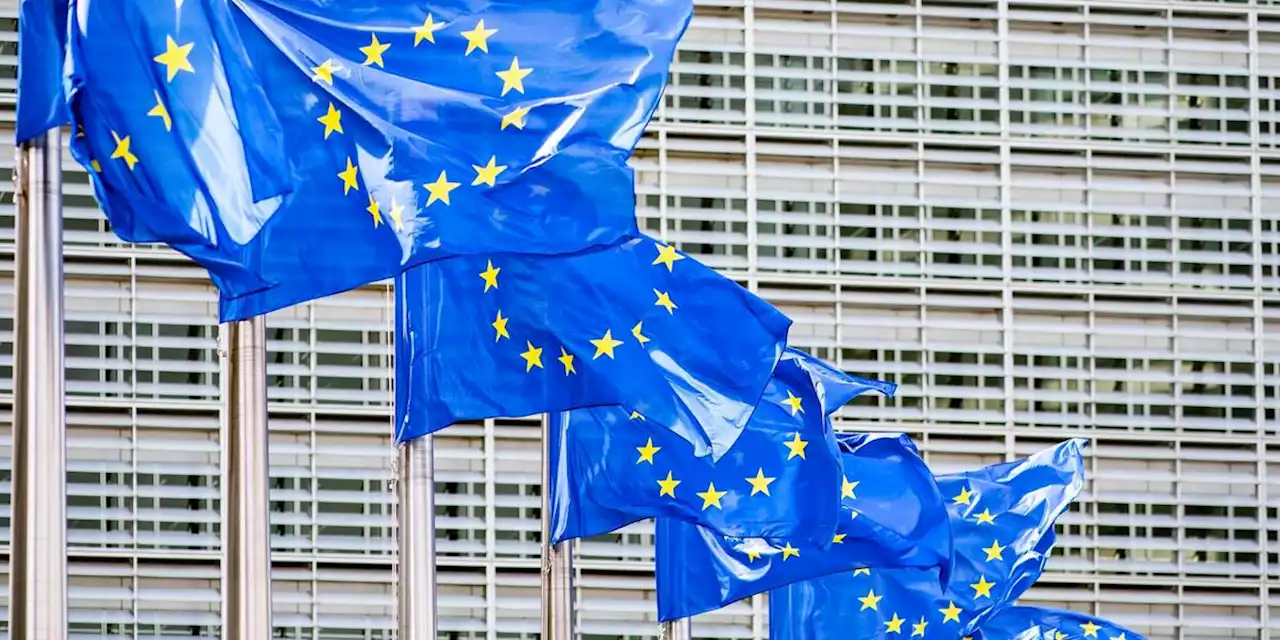 Telekommunikation: Appell an EU: Tech-Konzerne sollen für Netznutzung zahlen