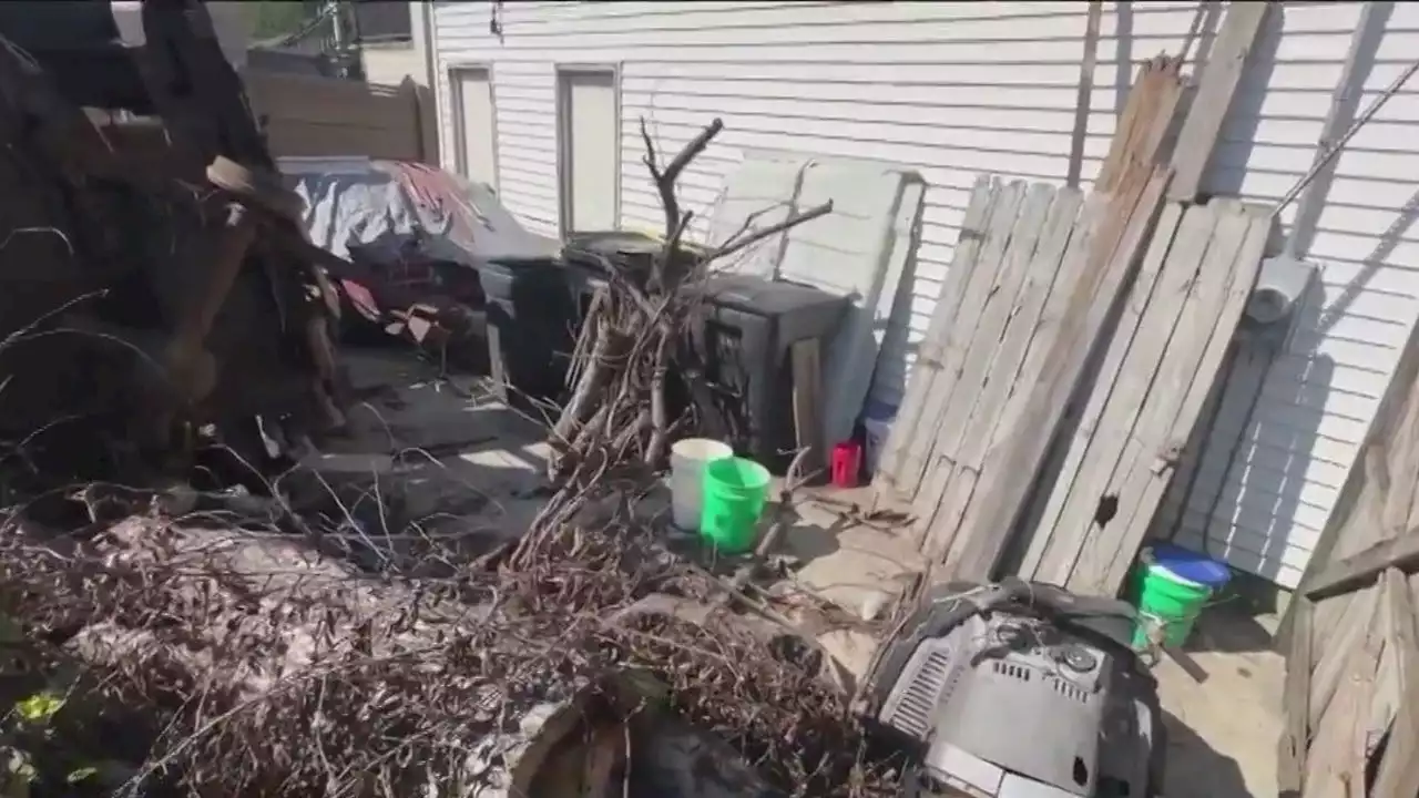 'It's embarrassing': Chicago resident frustrated over neighbors neglected yard infested with wildlife