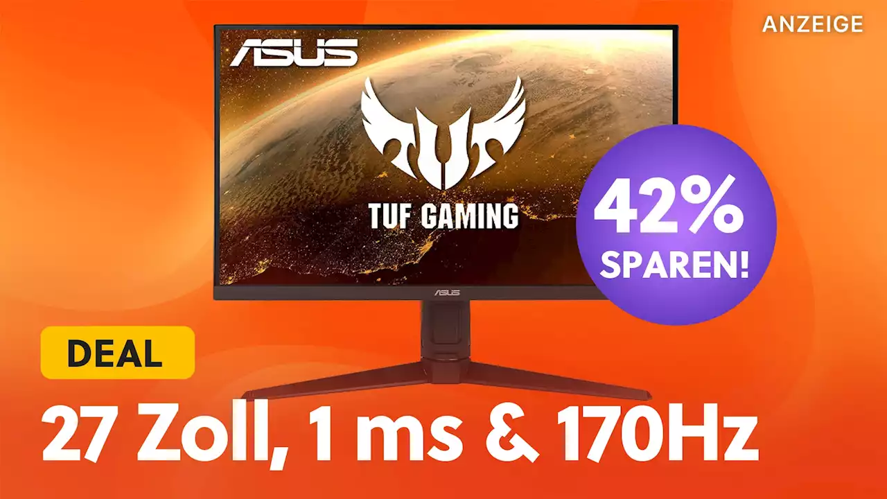 Da kann nicht mal der Prime Day mithalten: ASUS Gaming Monitor mit WQHD & 1 ms Reaktionszeit bei Amazon saftig reduziert