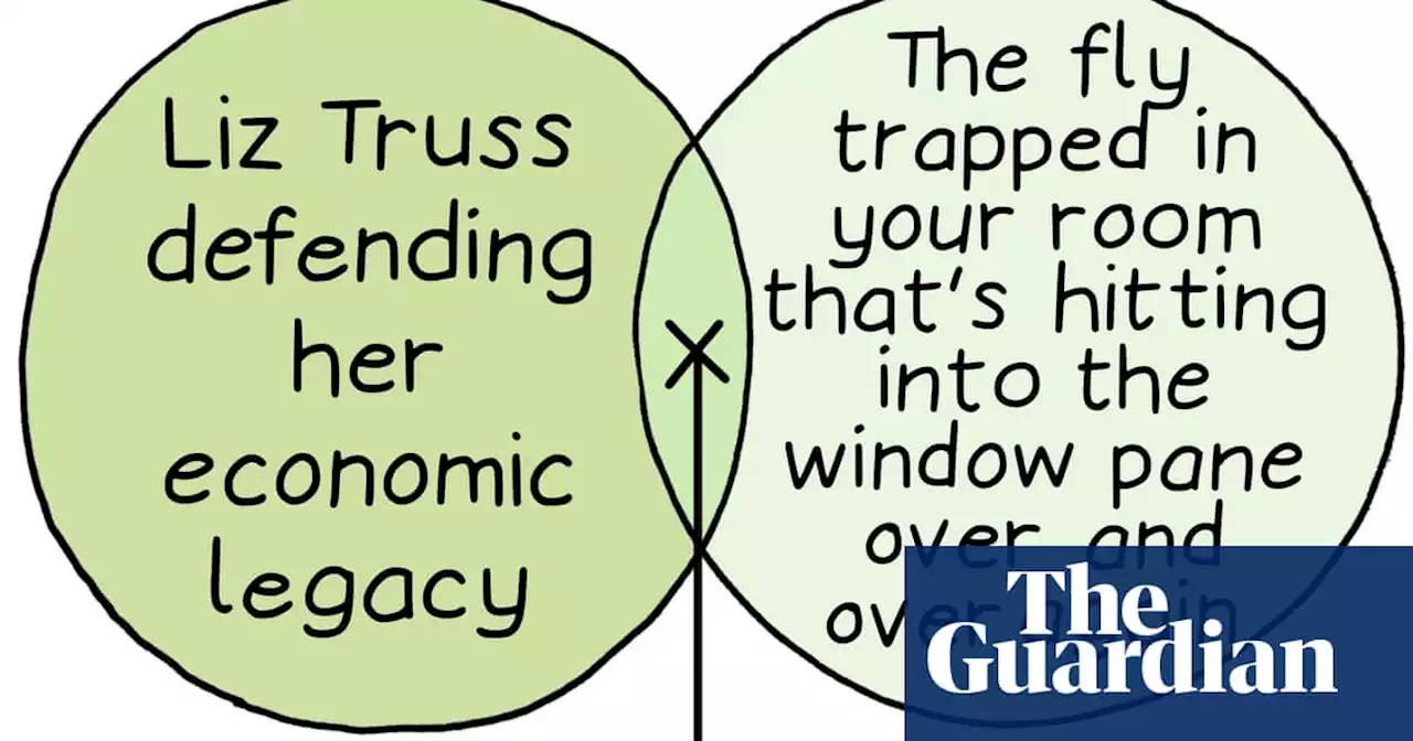 Liz Truss and a stupid fly: Edith Pritchett’s week in Venn diagrams