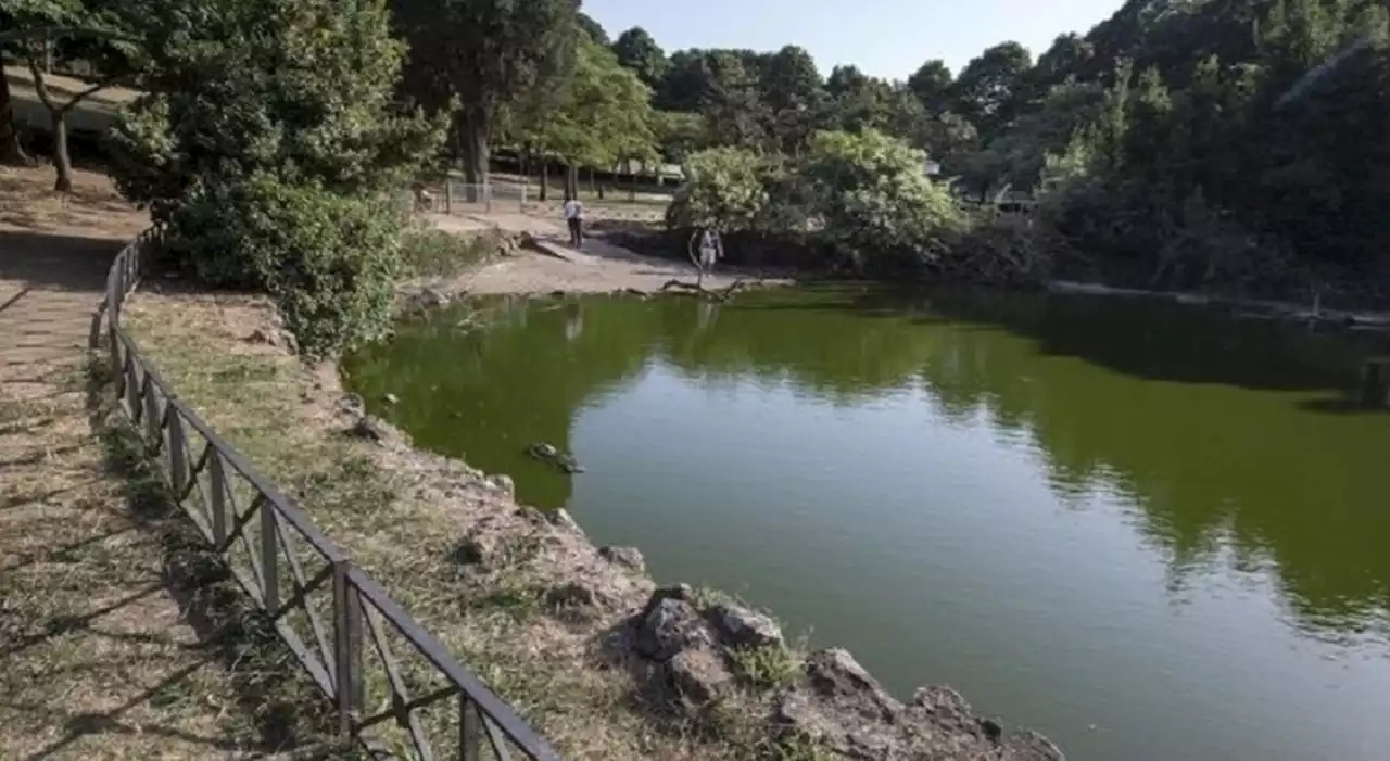 Roma, lo cercano per tutta la notte nel laghetto di Villa Ada: ma era stato arrestato