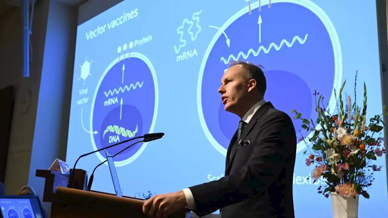 Nobelprisen i medicin går til forarbejdet til Covid-19-vaccinen