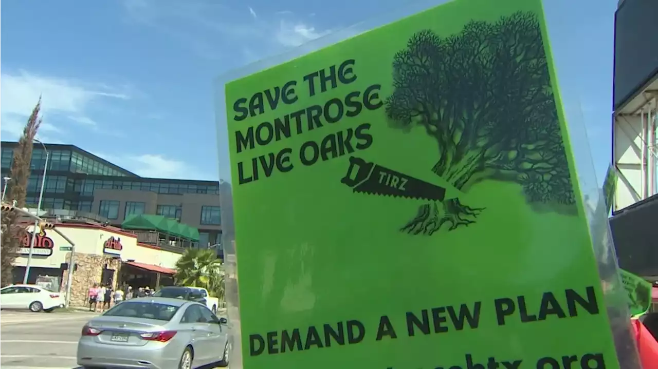 Battle continues in Montrose over project that would impact trees in the area