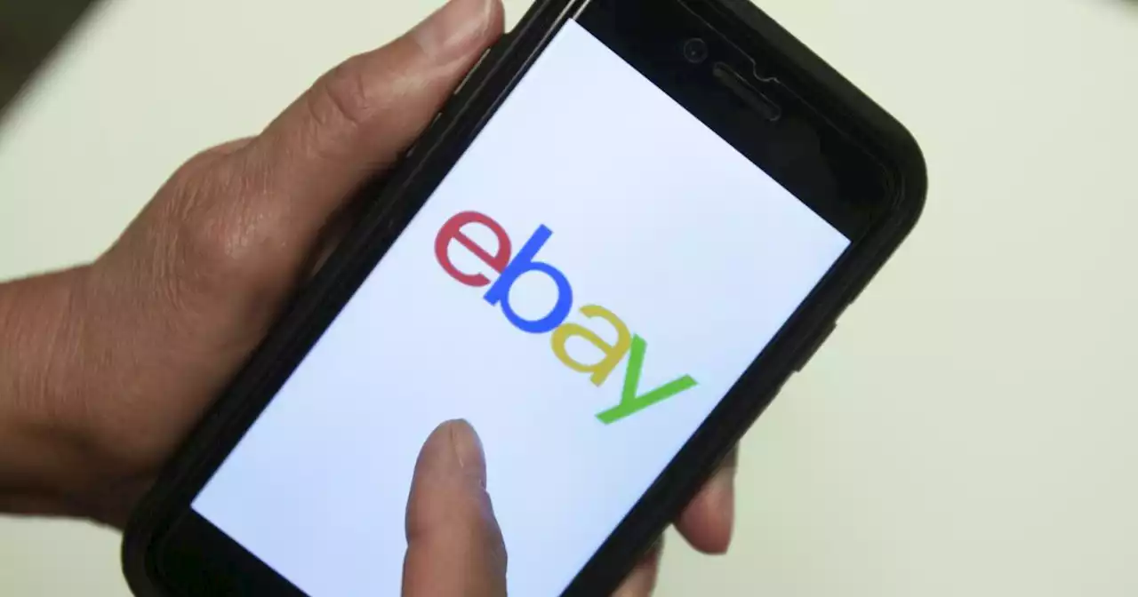 Justice Department targets EBay for alleged unlawful sales of pesticides and other toxins