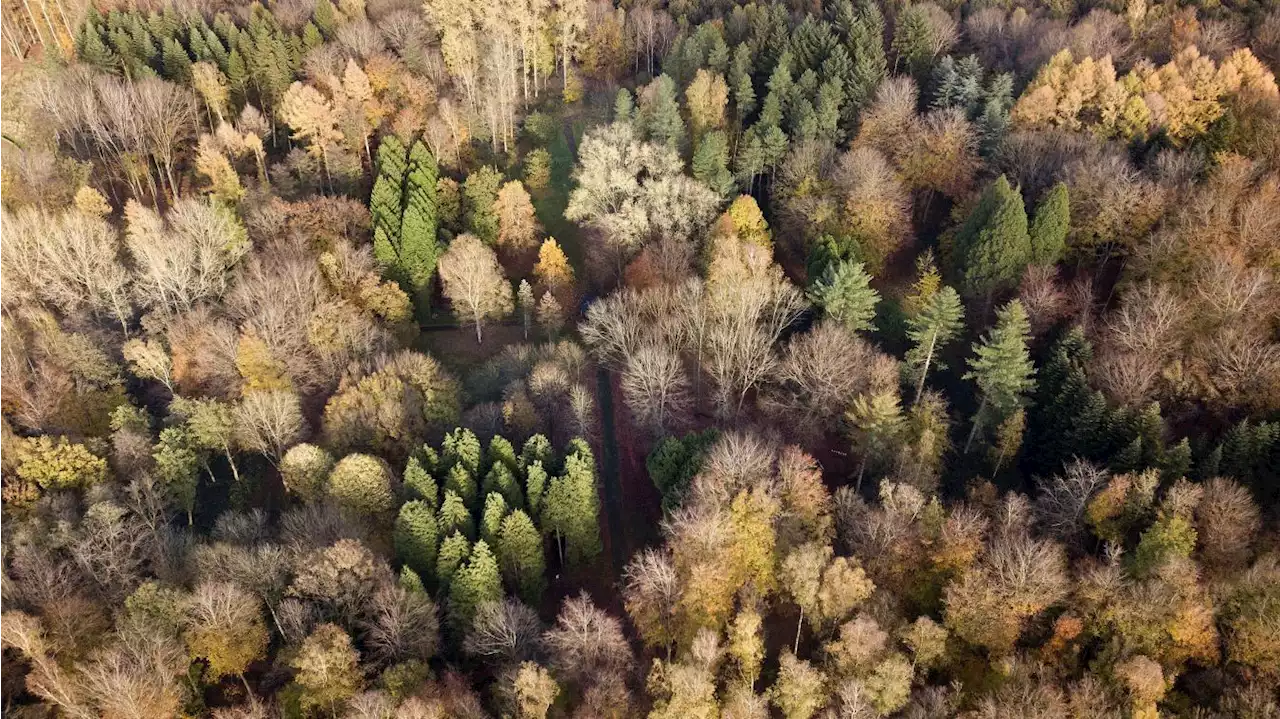 Cinq idées de balade aux couleurs de l’automne dans les Hauts-de-France