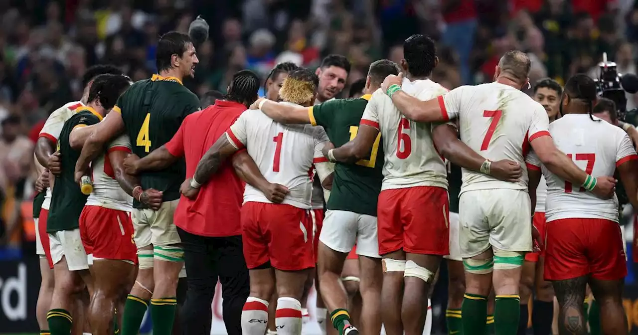 Coupe du monde de rugby : en vidéo, la magnifique communion entre Tongiens et Sud-Africains