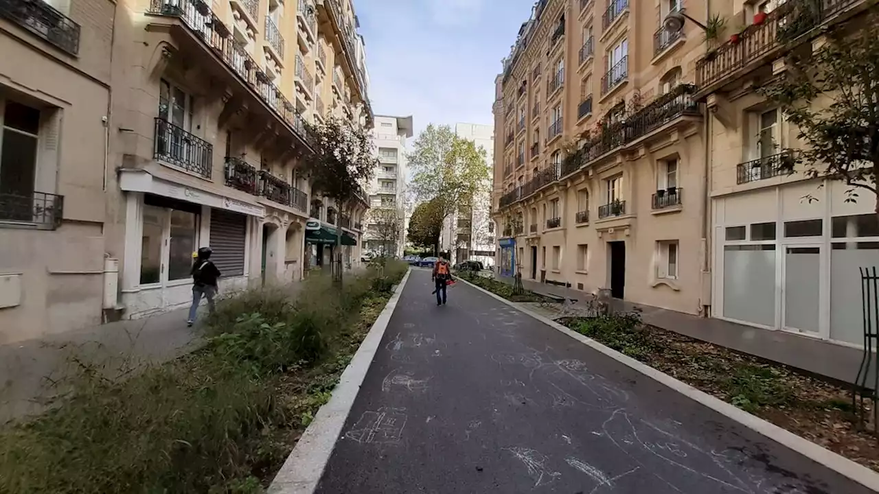 Après les rues aux écoles, Paris crée les rues-jardin pour verdir la capitale