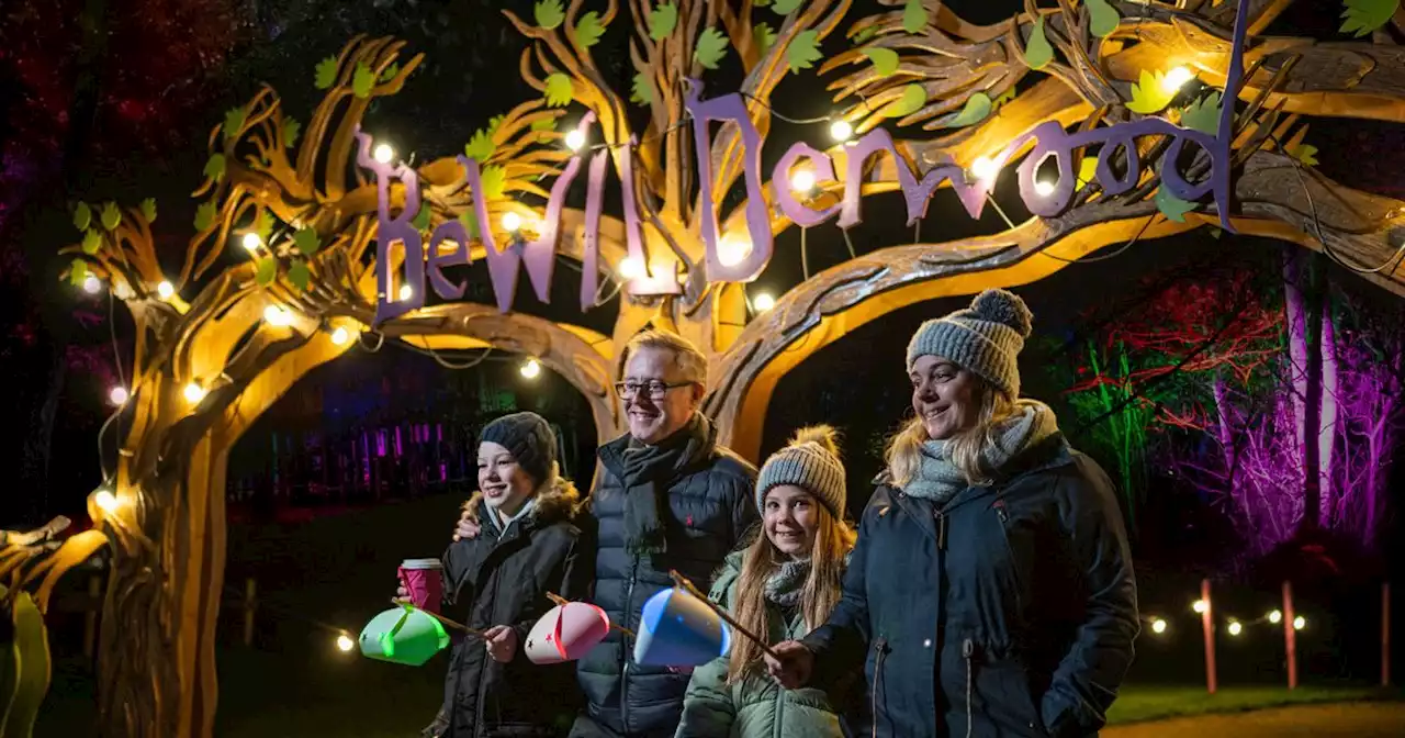 An enchanting trail of wonder awaits at BeWILDerwood Cheshire this Halloween