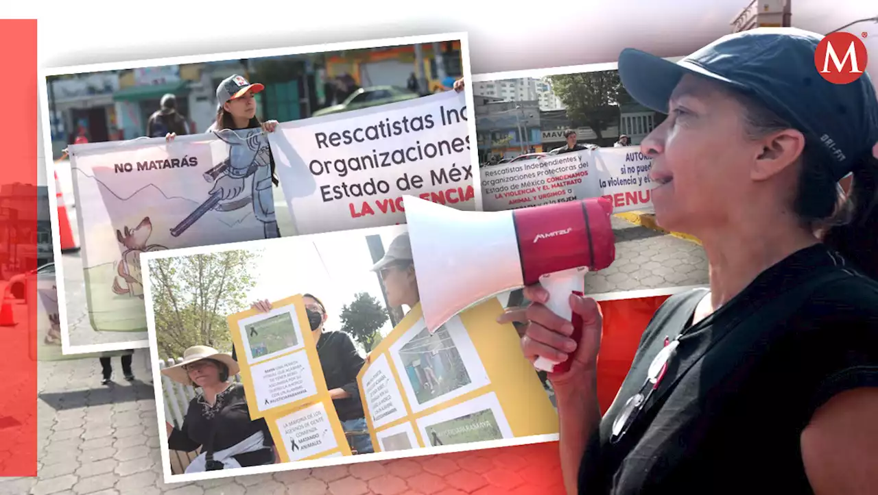 Manifestantes exigen justicia para Maya perrita asesinada en Toluca