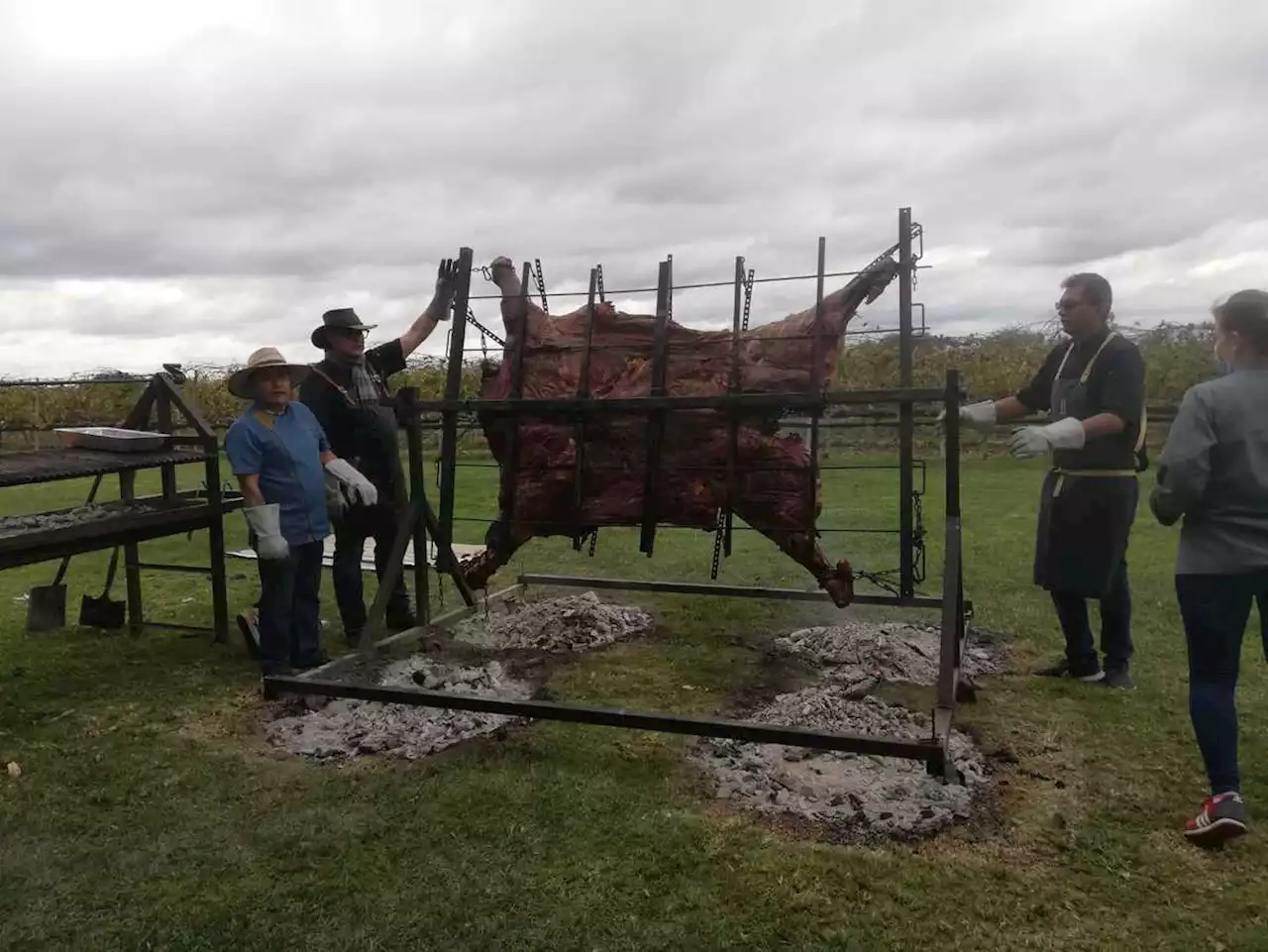 Parrilleros cocinarán vaca de 600 kilos en Rioverde, San Luis Potosí