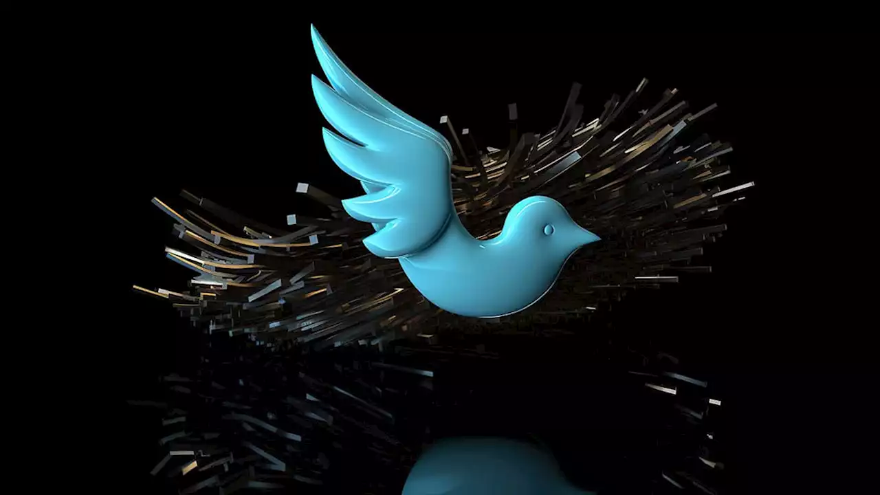 X (Twitter) sufre una fuga masiva de usuarios - Marketing Directo