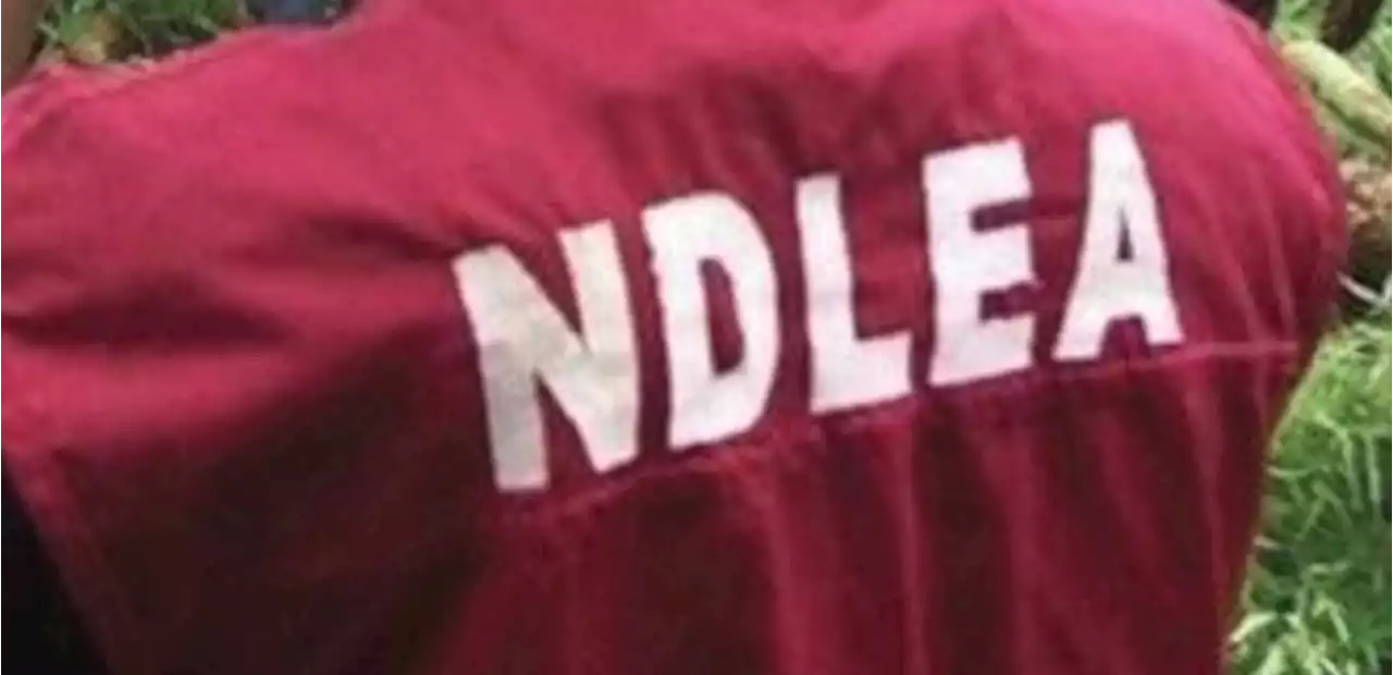 NDLEA arrests wanted drug suspect at Lagos airport