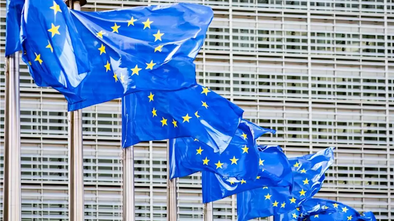 Appell an EU: Tech-Konzerne sollen für Netznutzung zahlen