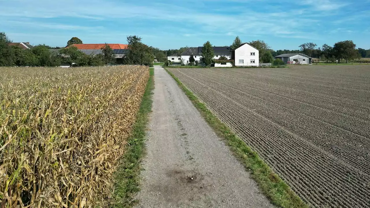 Joggerin in Österreich von Kampfhund totgebissen