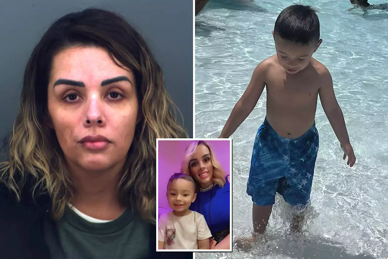 Mom accused of being glued to phone as son, 3, drowned at Texas park