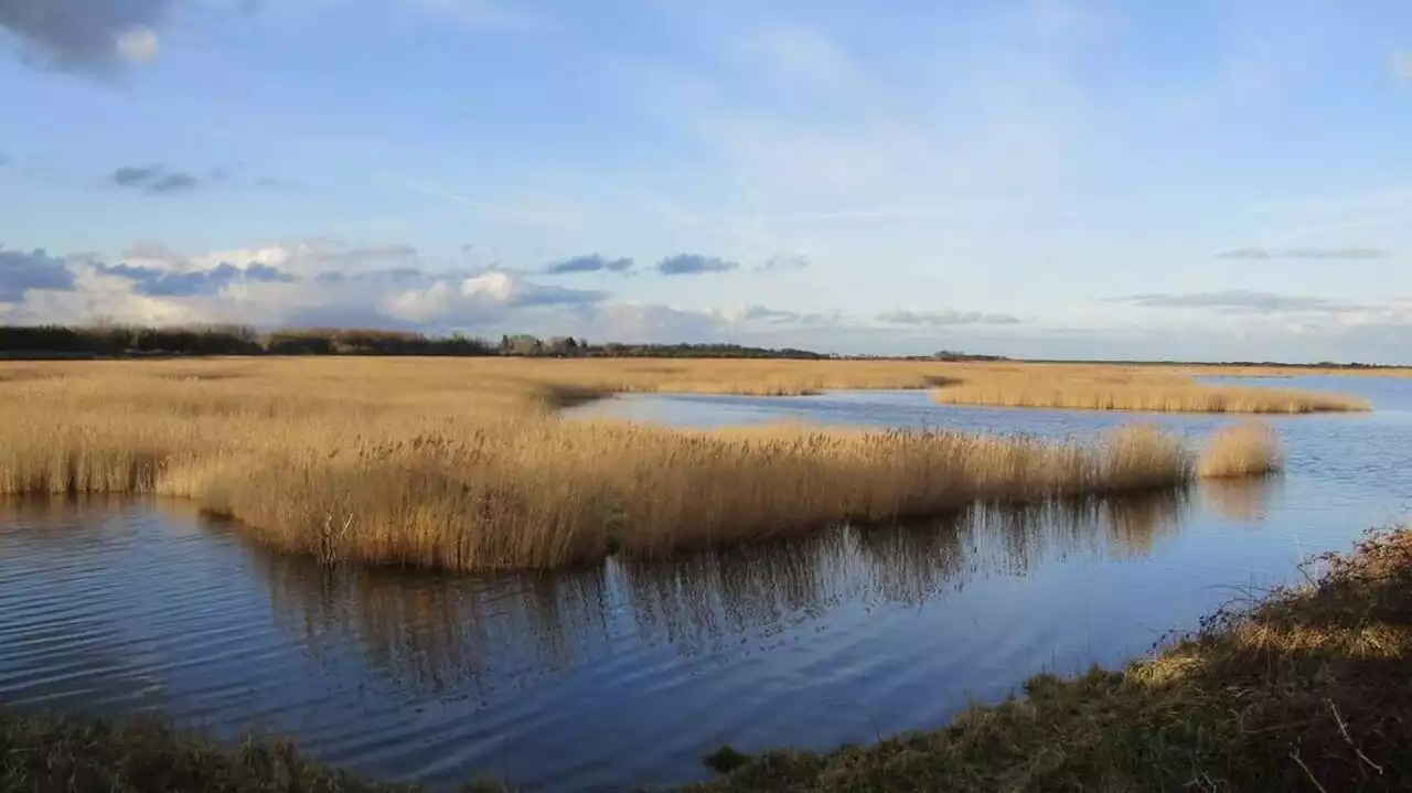 Cinq sites à ne pas manquer près de la baie des Veys, en Normandie