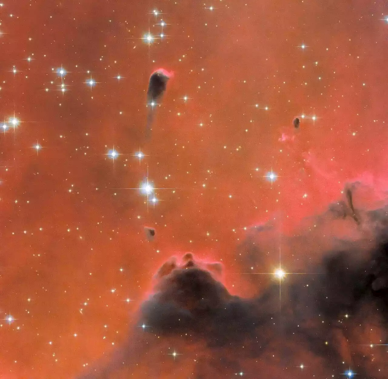 Hubble views a glistening red nebula Westerhout 5