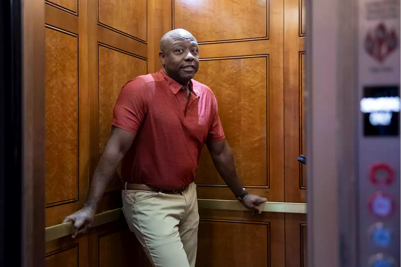 Tim Scott’s team to donors: Ignore the polls — and bank on South Carolina