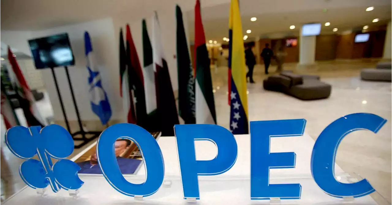 OPEC optimistic on demand, calls for more oil and gas investment