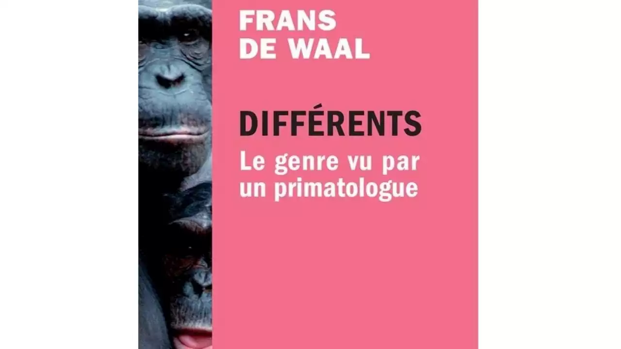 Autour de la question - Pourquoi parle-t-on si peu des femelles alpha?