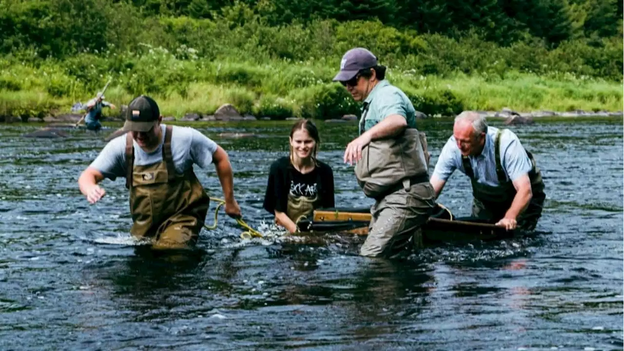 Atlantic conservationist group gives up trying to wipe out smallmouth bass in Miramichi River