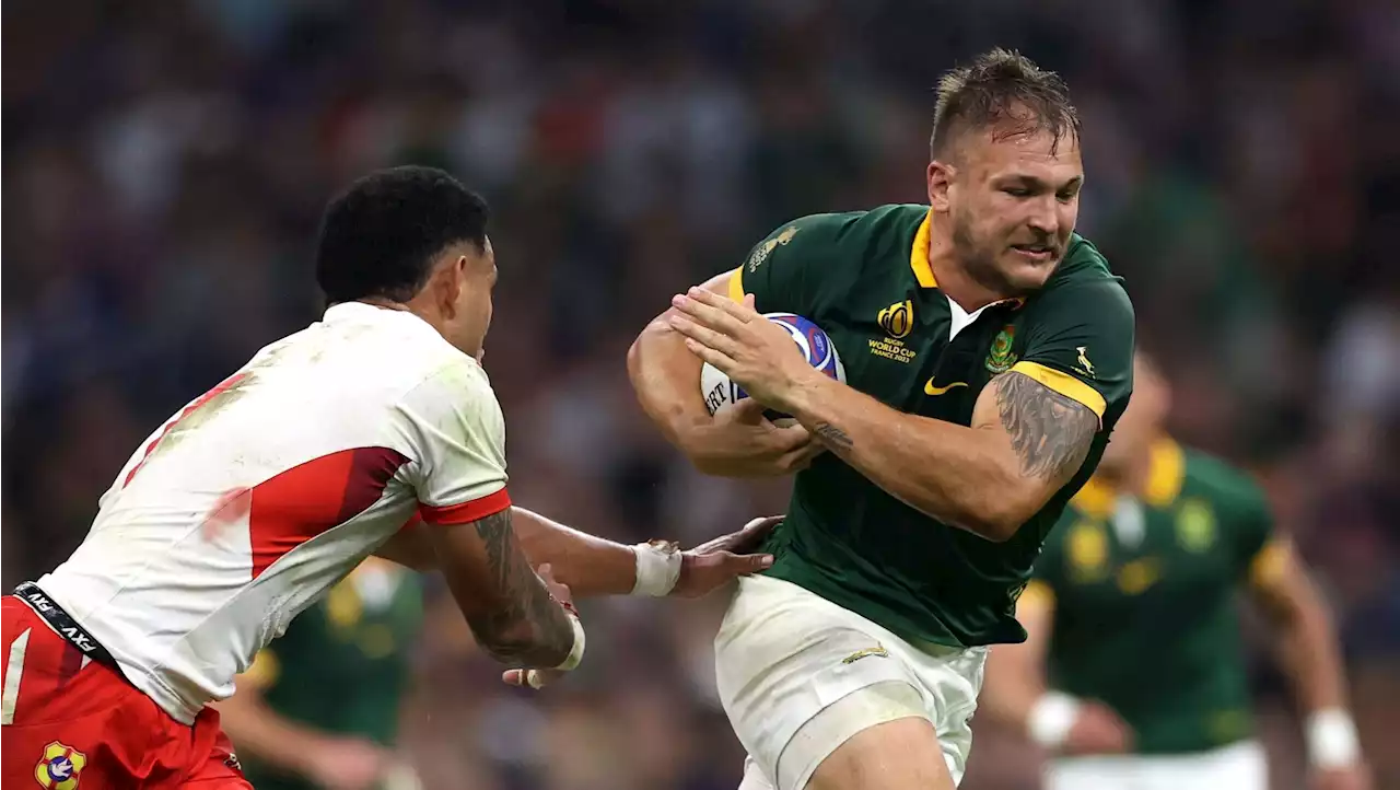 Highlights: Boks get job done against Tonga, now wait