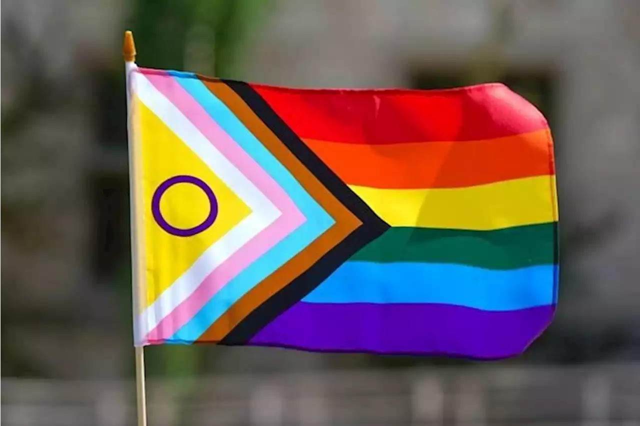 Youths charged with hate-related offences after Pride flag damaged in Kitchener, Ont