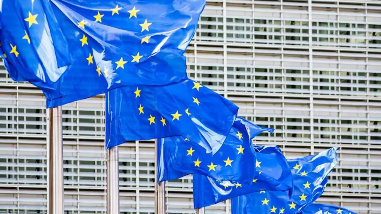 Appell an EU: Tech-Konzerne sollen für Netznutzung zahlen