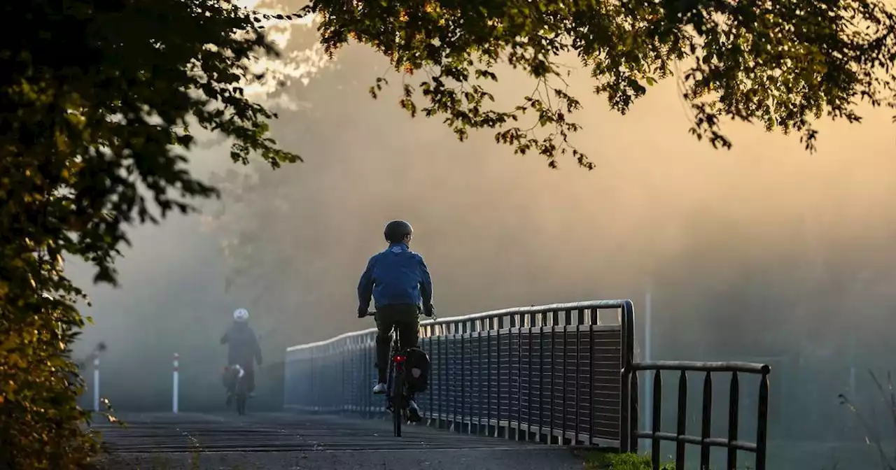 Reflektoren und Regenschutz: Nebel und Co.: So sind Radfahrer im Herbst sicher unterwegs