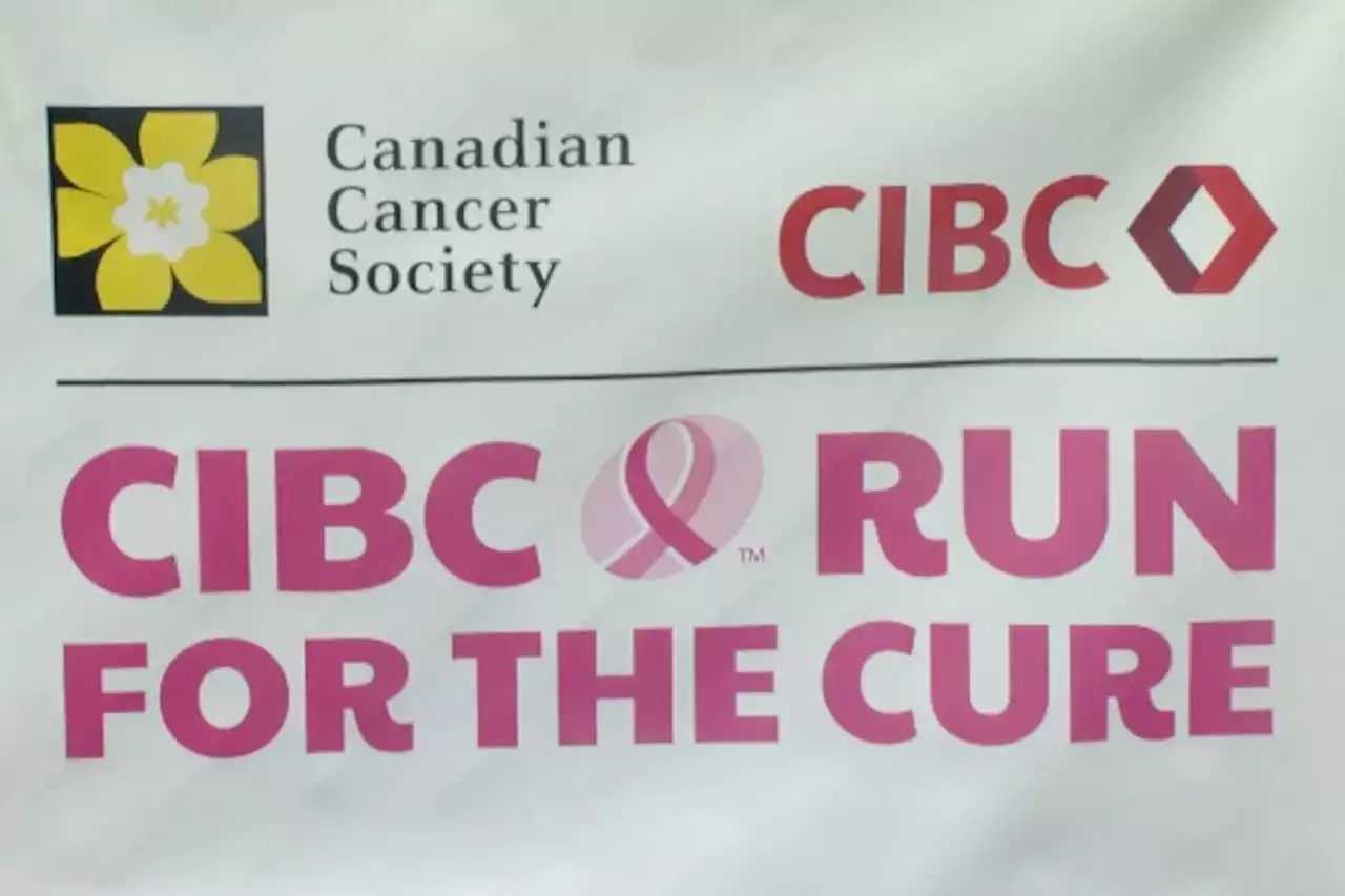 Over 250 residents run to help cure breast cancer