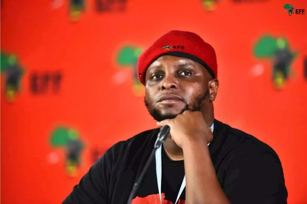 Lawmakers find EFF's Shivambu failed to disclose VBS bank payments