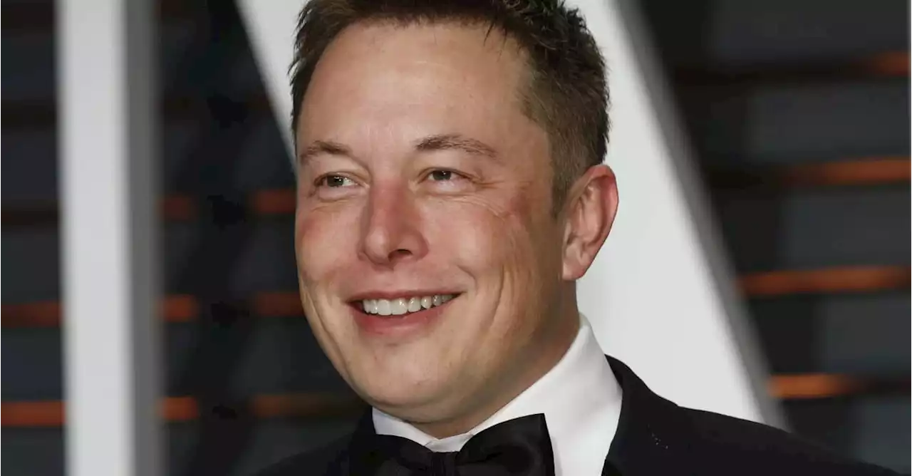 Musk’s first year as Twitter's Dear Leader