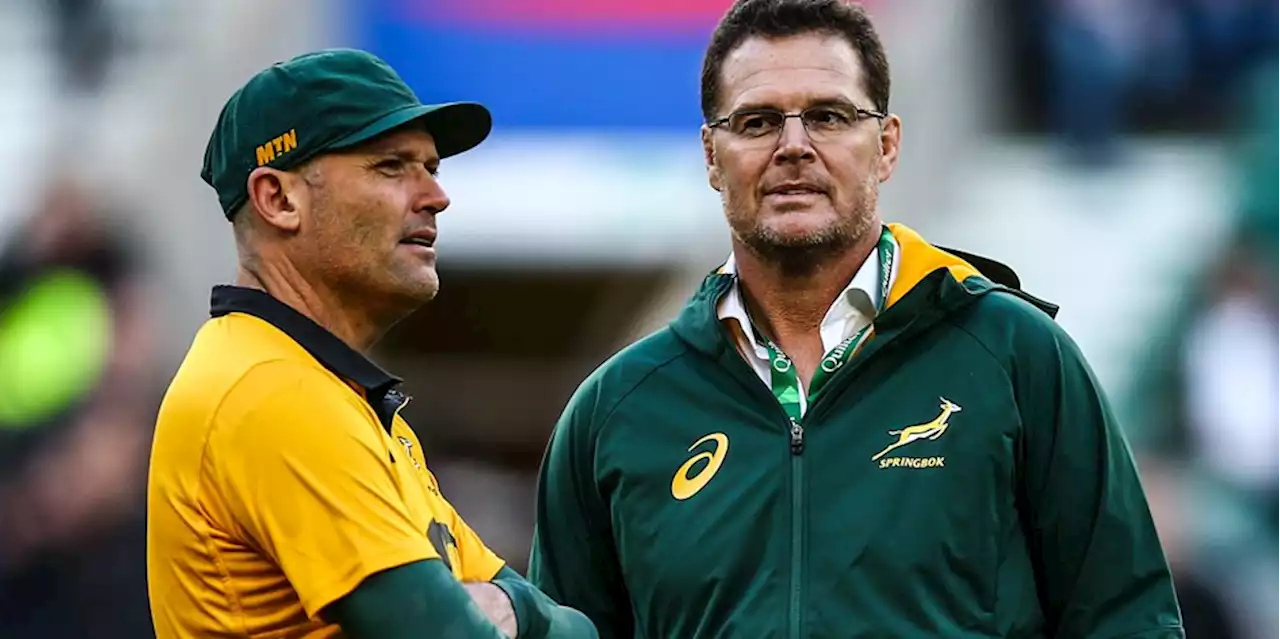 Could Springboks have to call up another player?