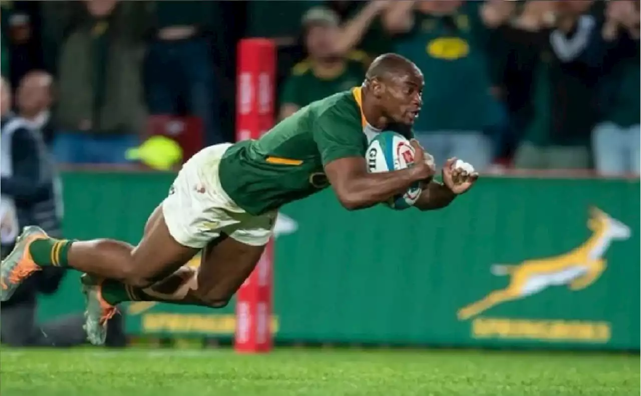 Springboks injury update: Is Makazole Mapimpi's World Cup over?