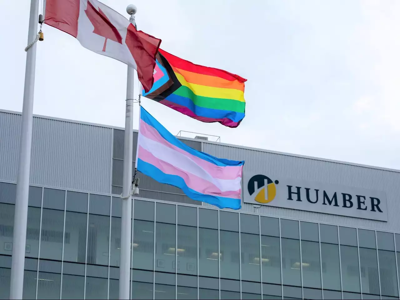 WARMINGTON: Humber College hosts staff seminars on how to scrub 'white supremacy'