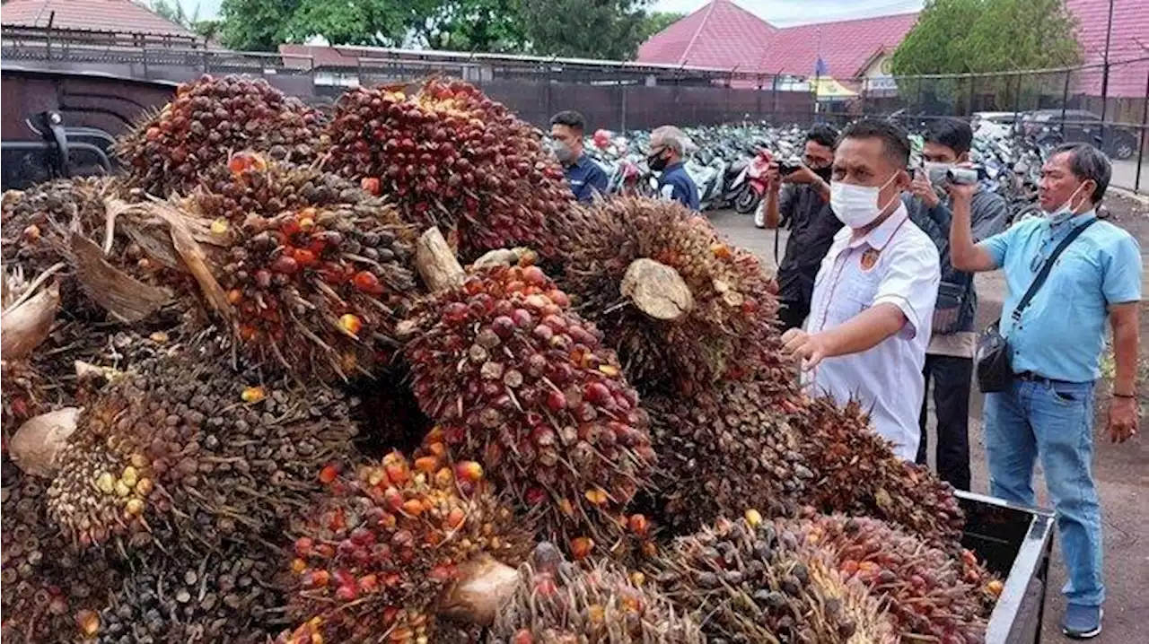 Perbaiki Hubungan Perkebunan dengan Masyarakat, Restorative Justice Pencurian Sawit Digelar