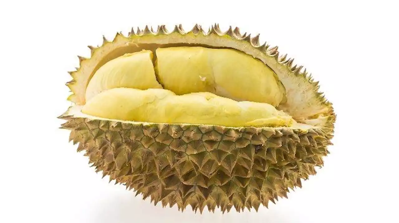 Tertipu Iklan Tur Durian di Facebook, Wanita di Singapura Kehilangan Tabungan Sebesar Rp 1,2 M