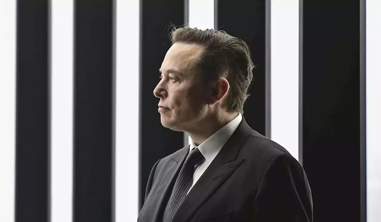 Musk hits back at Biden: ‘The corpse in ‘Weekend at Bernie’s‘ literally looks more alive’