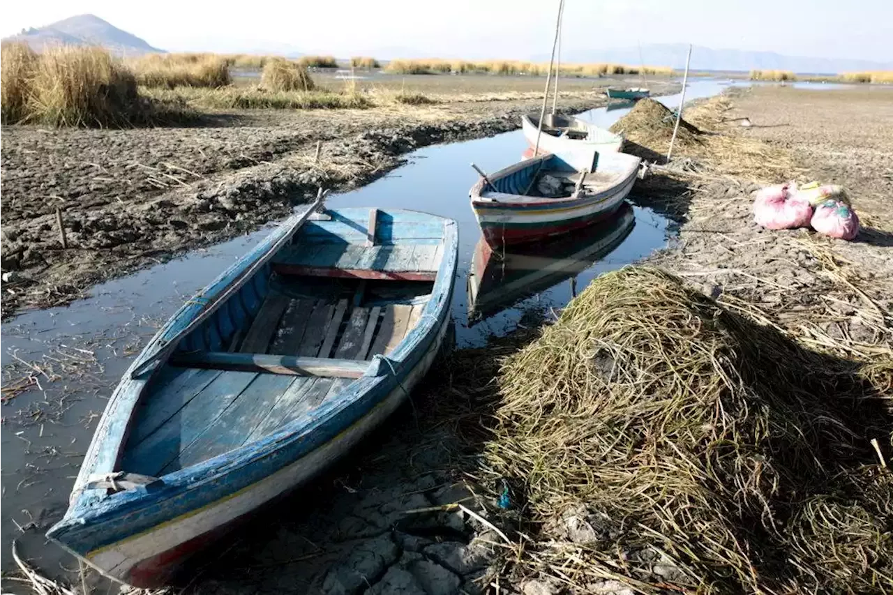 El nivel del lago Titicaca desciende a su mínimo histórico por la sequía en  Bolivia