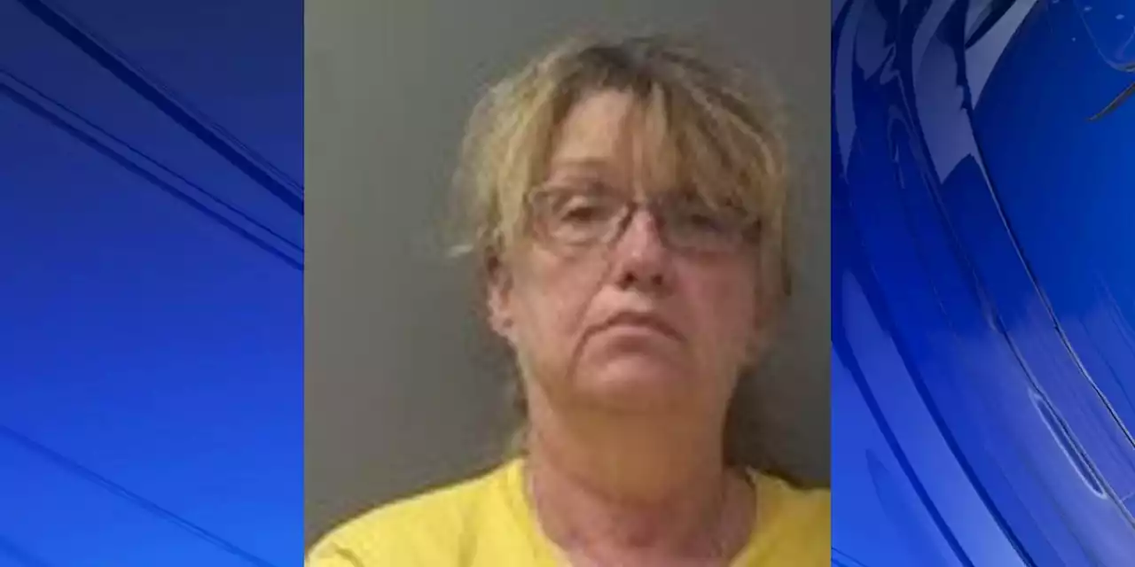 GRAPHIC: Woman arrested after 29 horses found dead, around 45 dogs rescued from home, authorities say