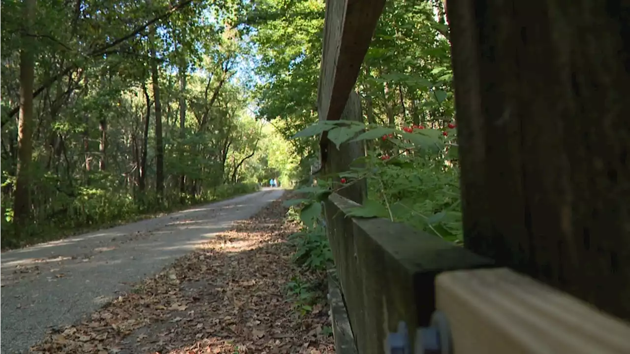 IMPD investigates reported sexual assault on Monon Trail