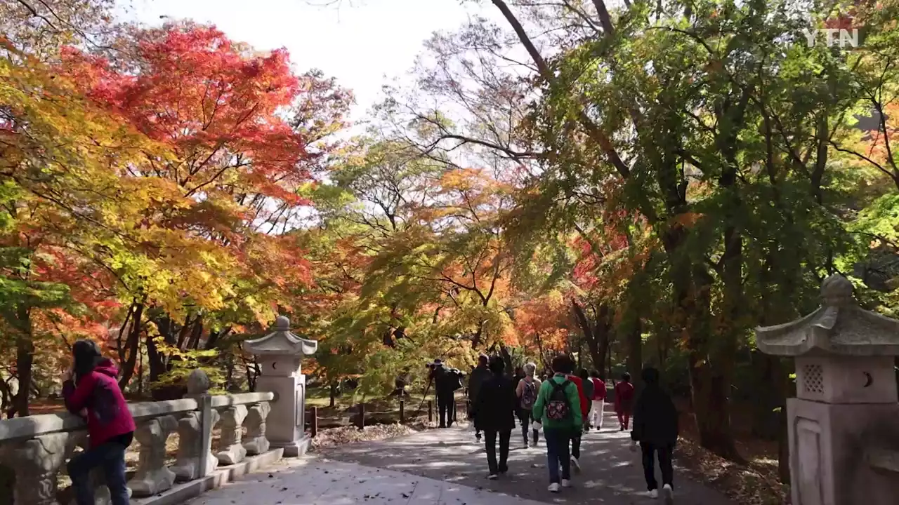 화려한 가을 산, 안전 사고 최다...사고 피하려면?