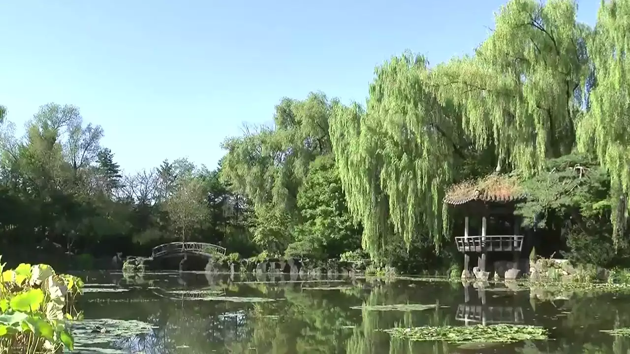 [날씨] 청명하고 큰 일교차...수목원 나들이 즐겨요