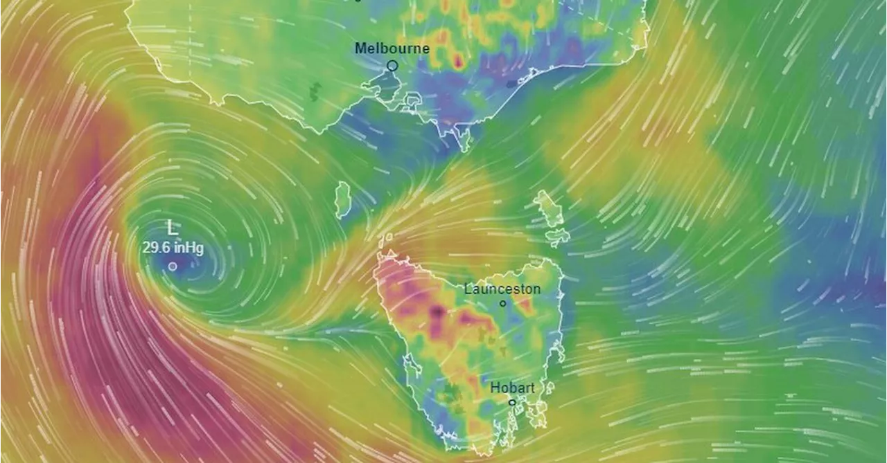 Tasmania expecting downpour as upper east coast burns