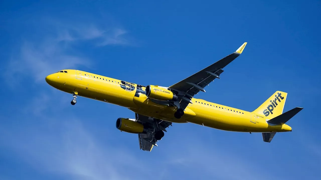 Spirit Airlines cancels dozens of flights to inspect some planes