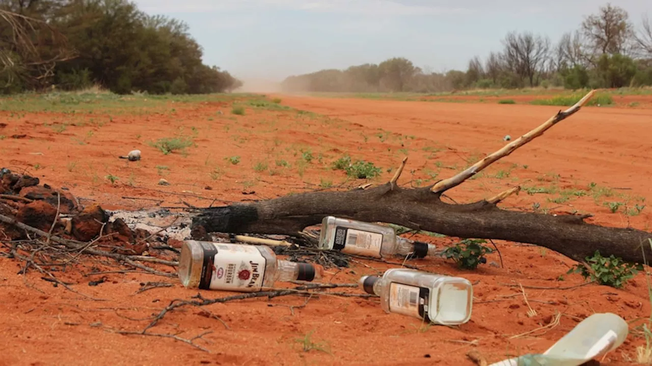 A review is proposing changes to the NT's alcohol laws. What could that mean?