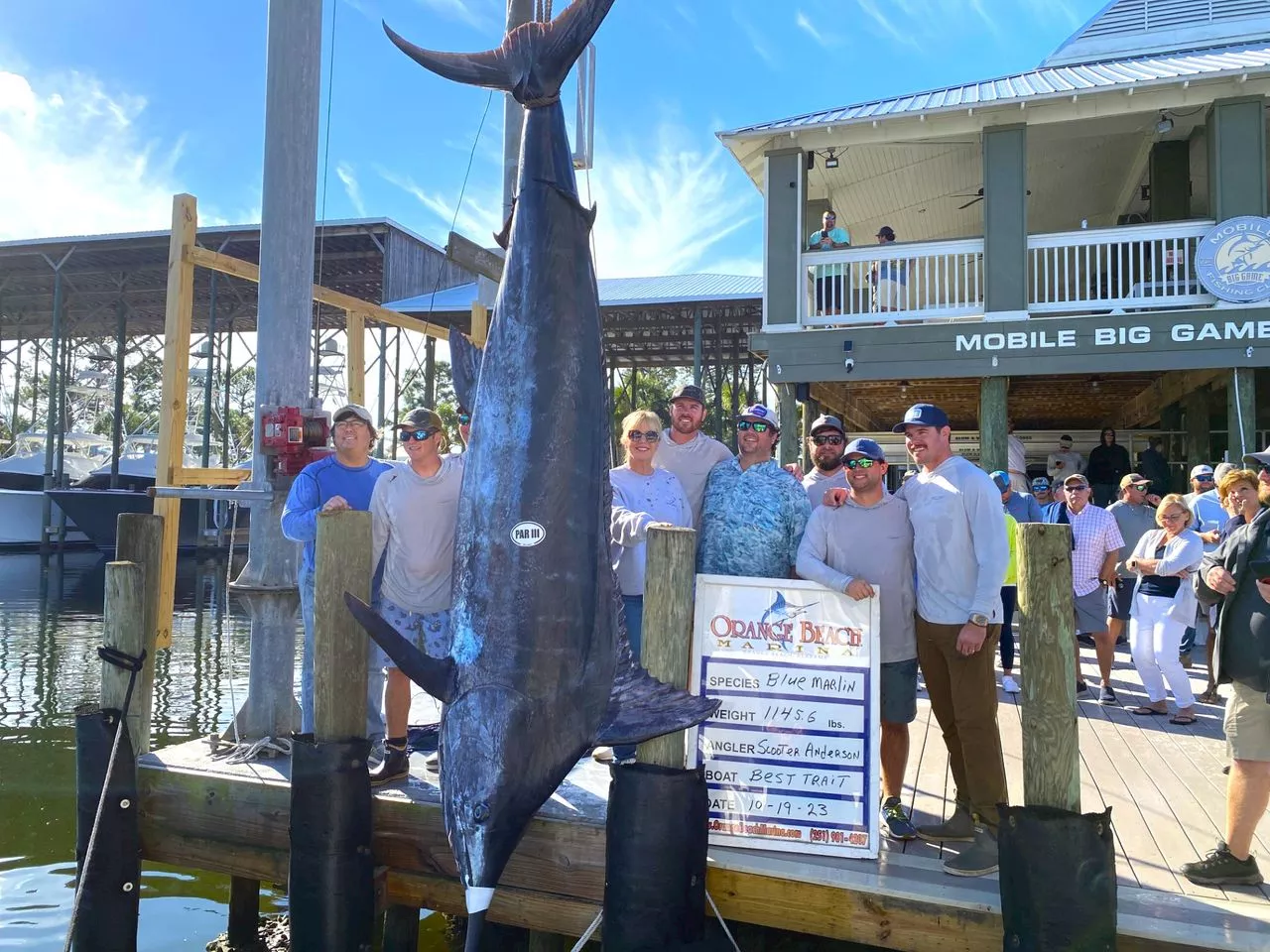 Anglers haul in blue marlin that will shatter Alabama, Gulf of Mexico records