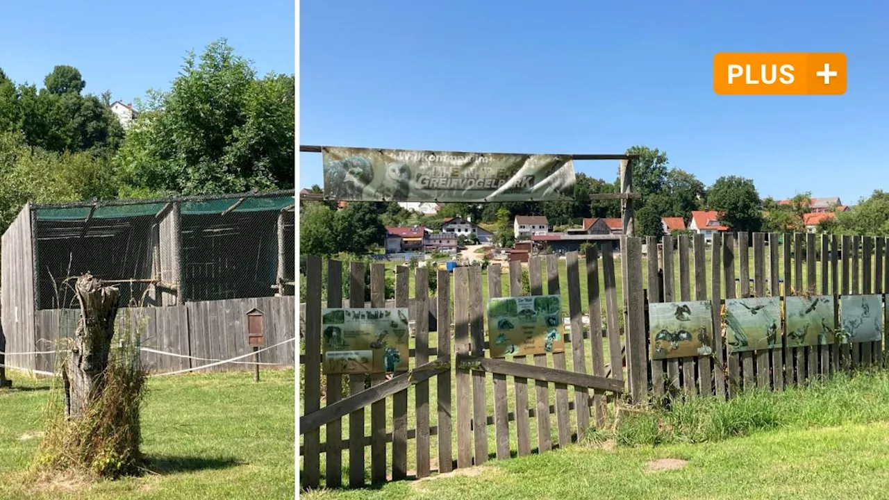 Ehemaliger Greifvogelparkleiter vor Gericht: 'Mein Lebenswerk ist zerstört'