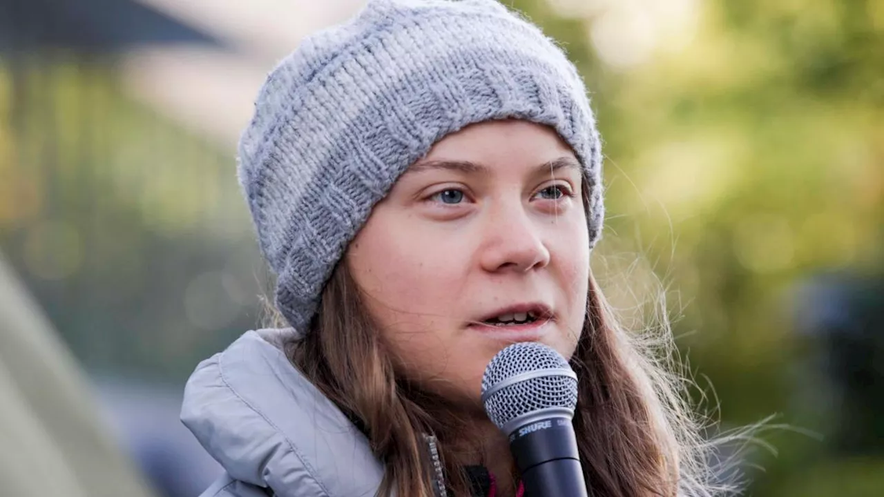 Greta Thunberg: Aufruf zur Solidarität mit Palästina sorgt für Empörung